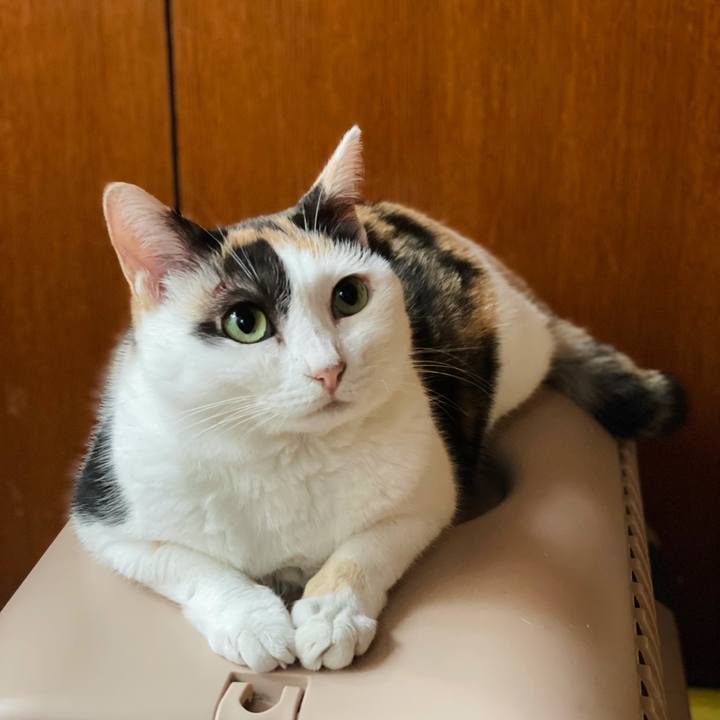 97d18f9a 9282 4404 ab9f b70256a77cda 1631412470776