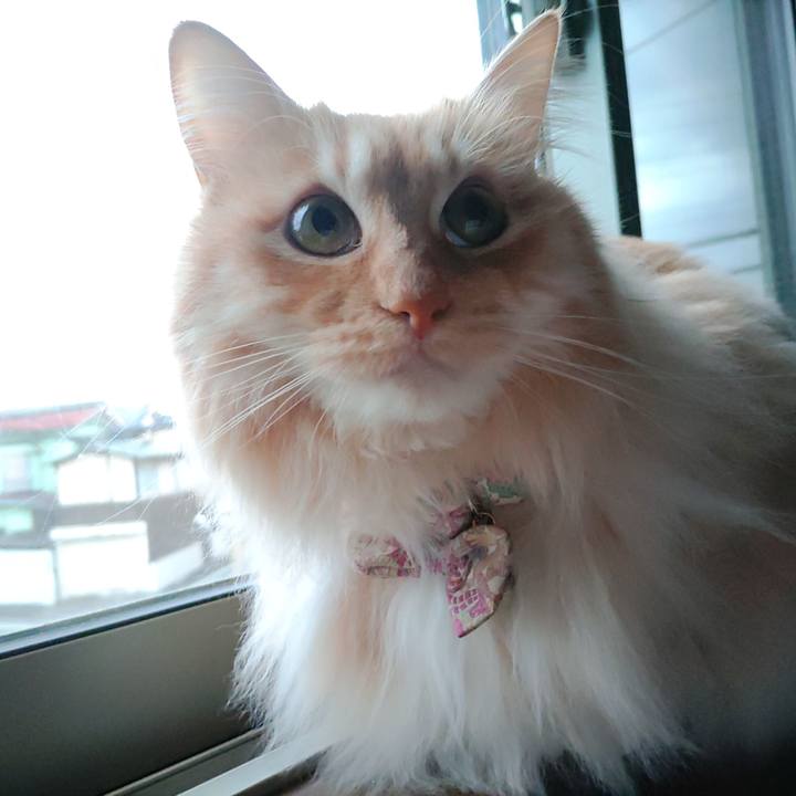 97d1bbe4 ebb6 4762 984e 58c5df460954 1680472040001