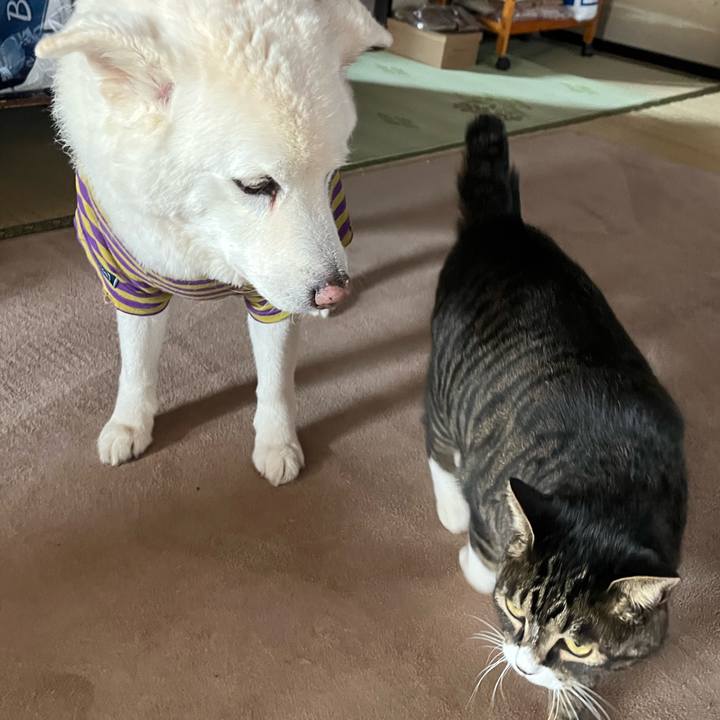 97d1d7e5 94ab 4df6 ae80 855c81f47e1c 1764631778268