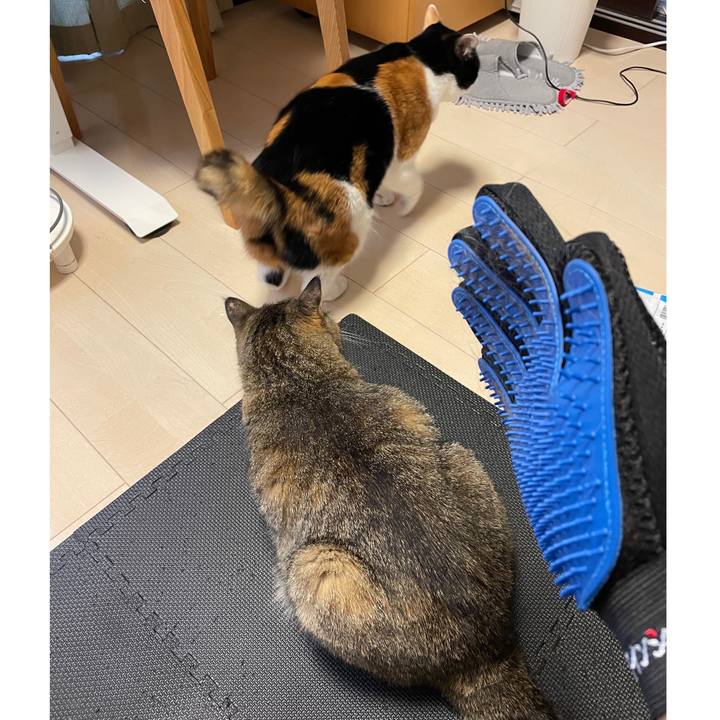 97d1e6db 5fdd 4f73 8569 b284b2b9f4ba 1630728508728