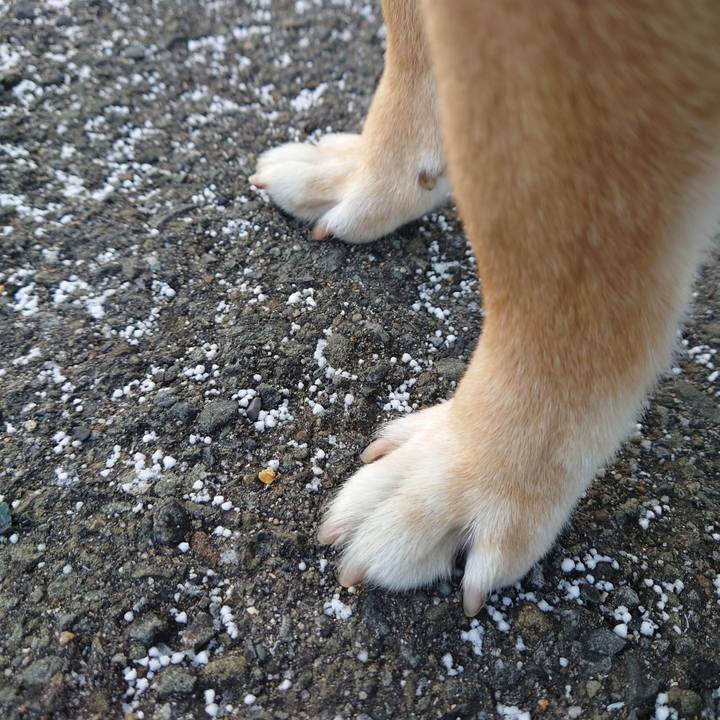 97d1fe31 1764 4a6e a9d2 61a5362d0b7a 1770608816025