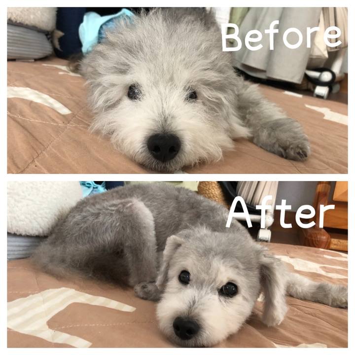 97d23e02 d8bf 4508 94f3 5b4c74966044 1598071519198