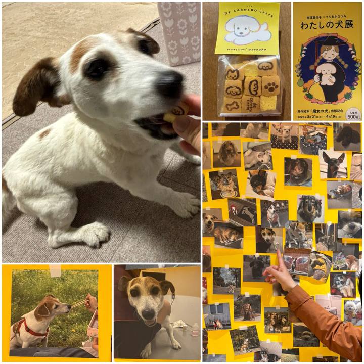 97d24c2b 3f02 43f1 bb19 c498fcd40127 1774691511964