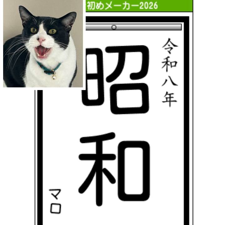 97d2502d 1220 4c90 9efd 92b6814de769 1767424606635