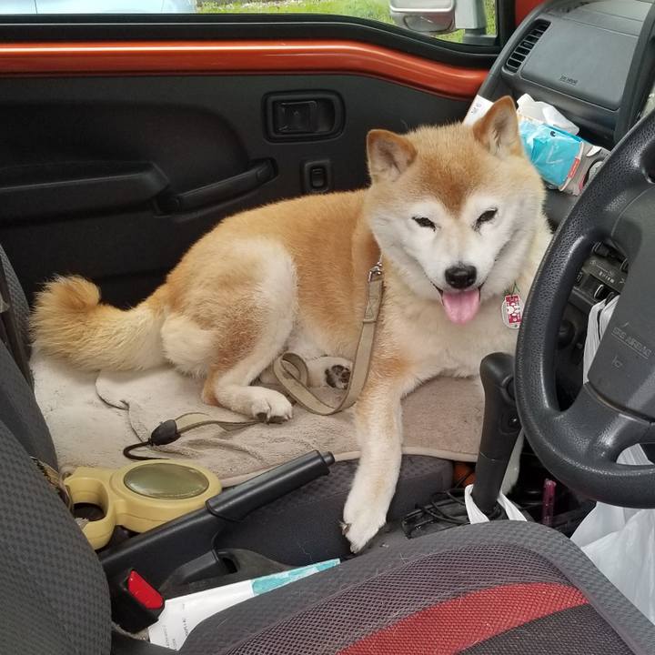 97d27fdc 6d24 464b bb33 e13b1cb326ac 1688972574656