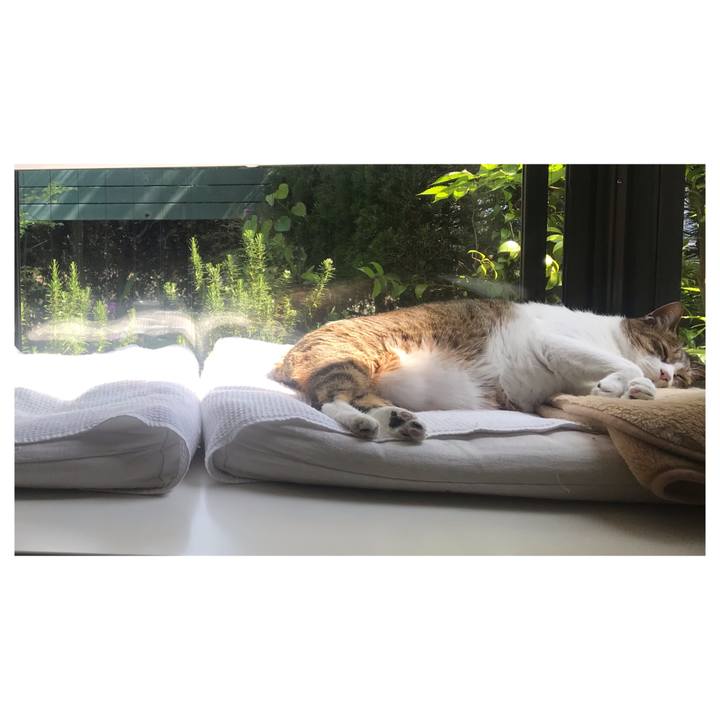 97d285ab 8b0b 4781 bd8f b7d21440c321 1652853512731