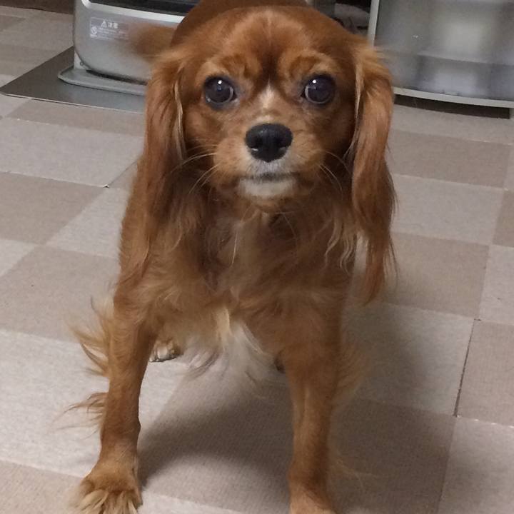 97d2893c 0c95 4966 a90a 0ed485b15a6c 1516436323657