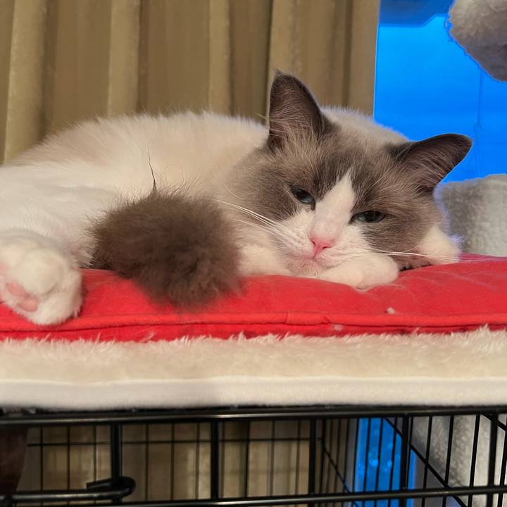 97d28d3c b47f 4d01 bb52 ee198c399832 1653909245130