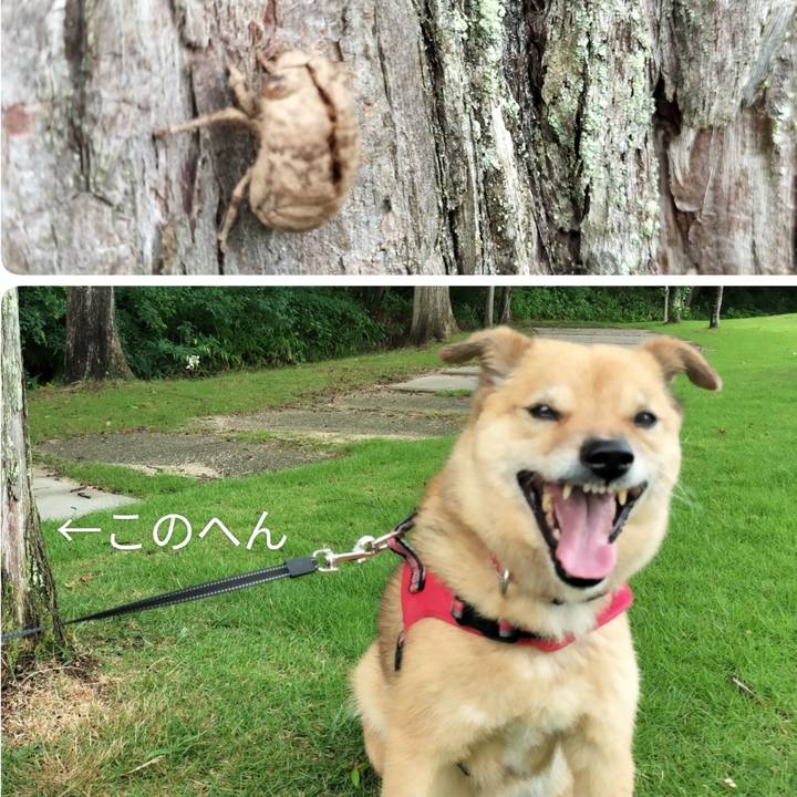 97d2968f 85c3 4f43 a46e 8e5fa997ae09 1720793877039