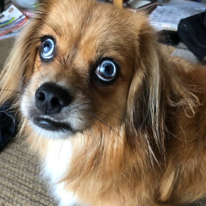 97d2a55b 9fce 4d2e 8337 370204606d4a 1535241559536