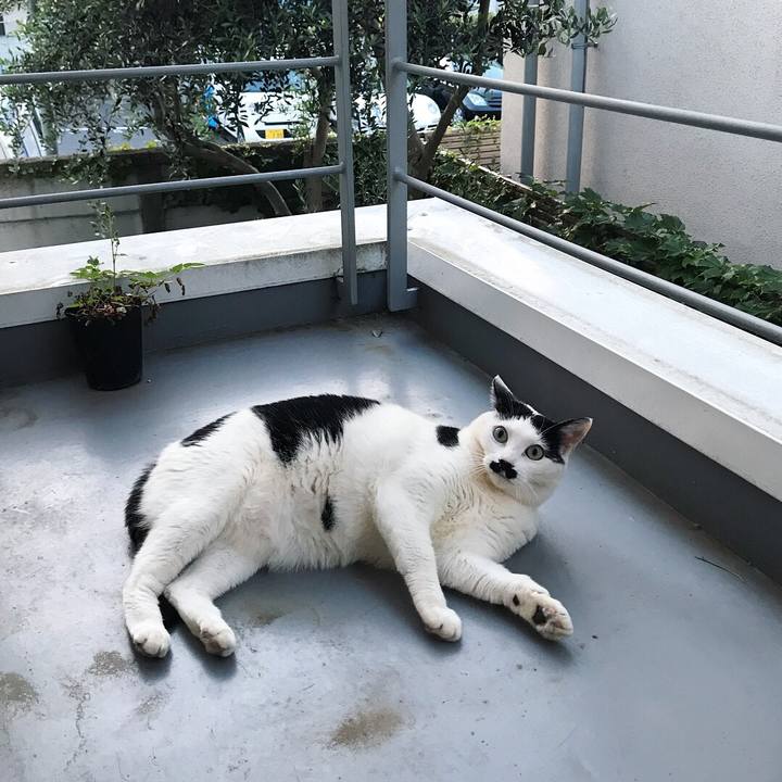 97d2a881 2cc9 4e9a 8267 ffecd2fc4f77 1525188841491