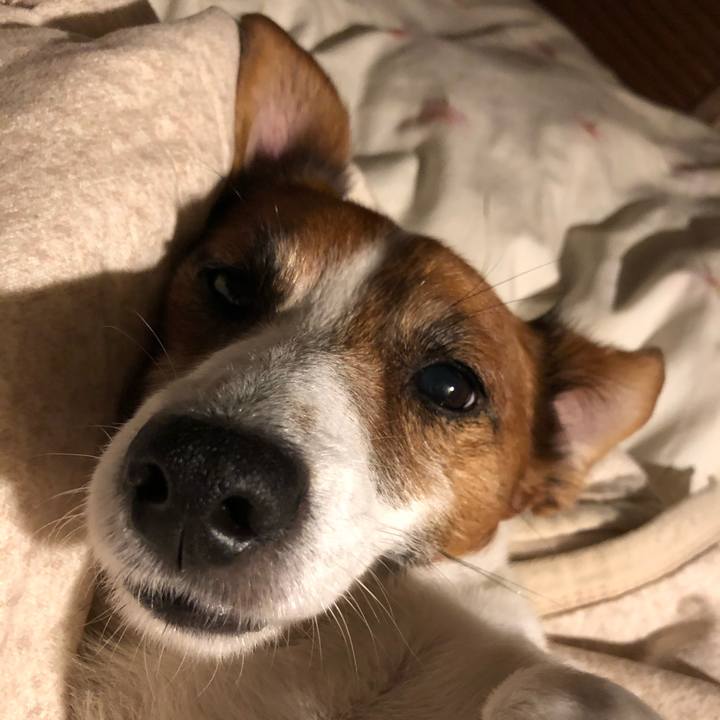 97d2b9da 6420 4688 9e5c 90650225c4d7 1572662302797