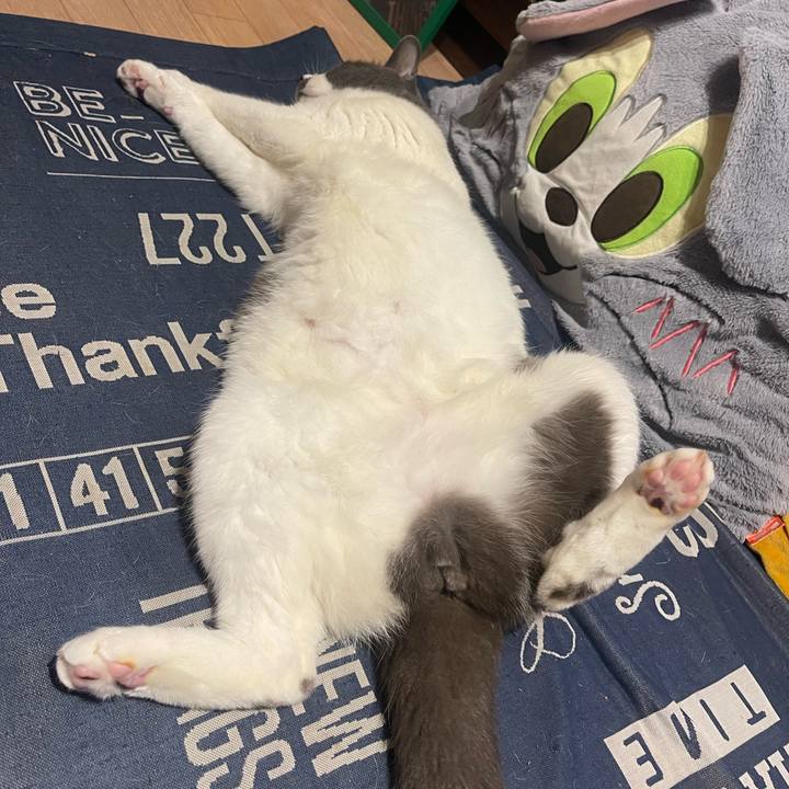 97d31126 42d6 46d7 87fb 55d3cd789551 1748613754386