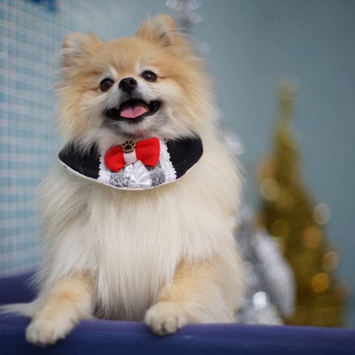 97d31eec d199 4b87 ba30 e2596e87aca1 1512636598482