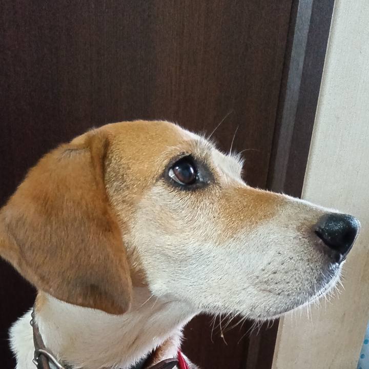 97d37ba7 75db 4c2c a821 6401f8e60475 1724499061021