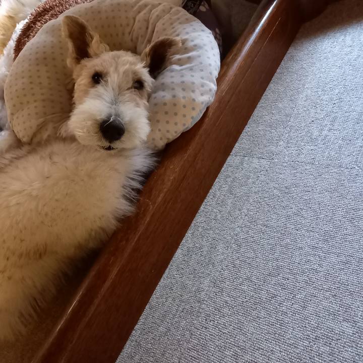 97d3bae4 643b 4e2d b50a a9d1861e2d4e 1645416099652