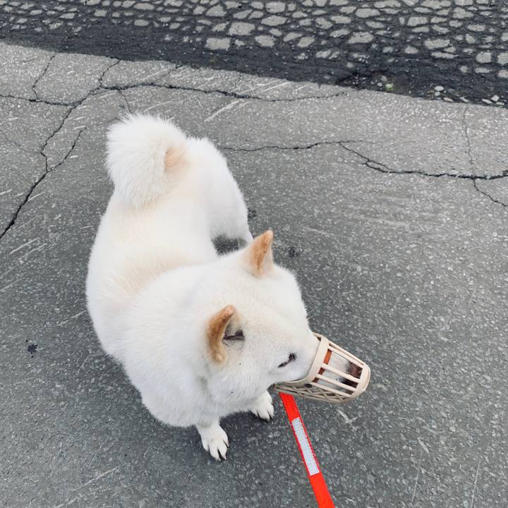 97d3baf5 d876 48b8 a459 568f8c119cb2 1559767754898