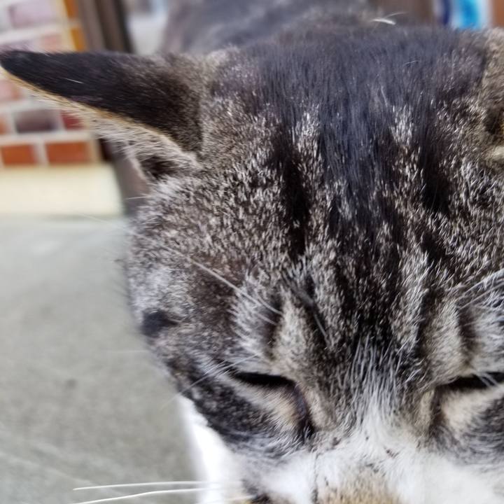 97d3bf6c 0f00 4f74 8080 6fd4c1f2747d 1613831329900