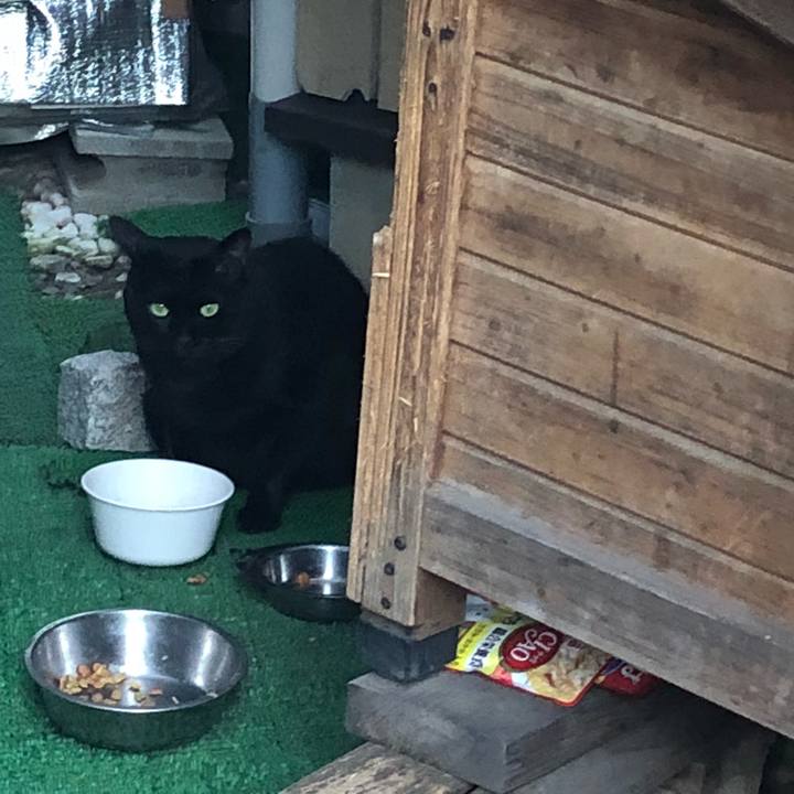 97d3c701 968c 435c 86dd 828ad470fb96 1540993552176