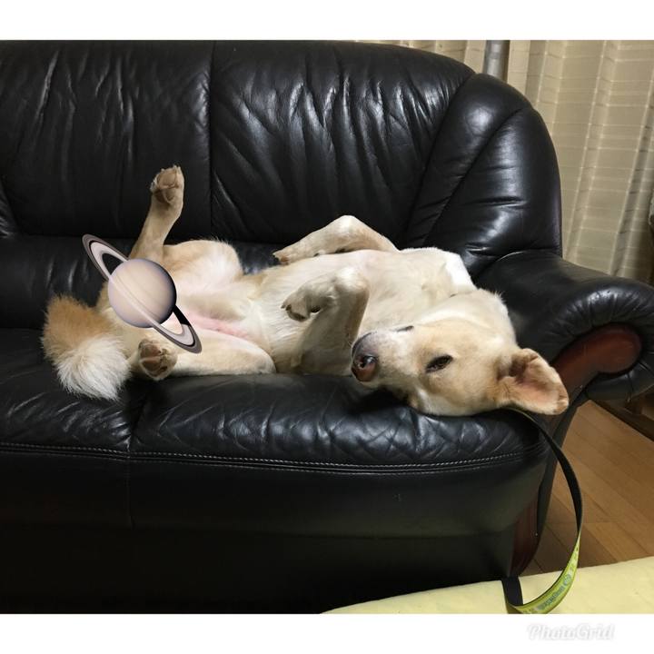 97d3e60e b6fc 49ed 8659 952aa585bb15 1532525407990