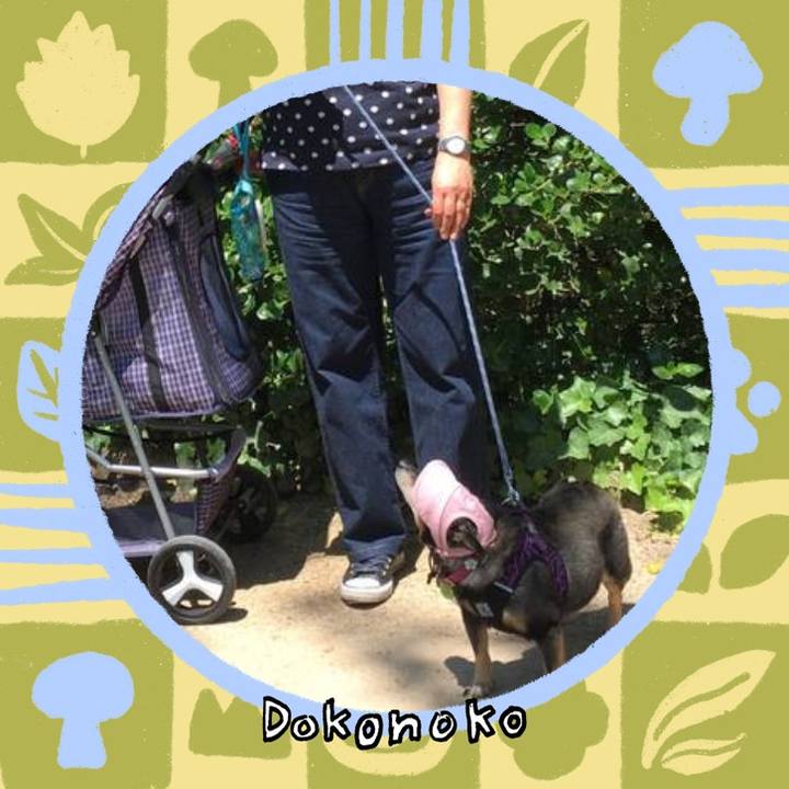 97d3ecf7 83b2 4253 9fc3 fa314425e03b 1762648800003