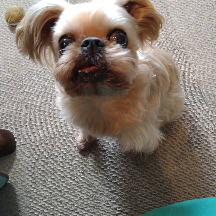 97d43fe4 7be2 4431 8ca8 594774ee6d9e 1613618471811