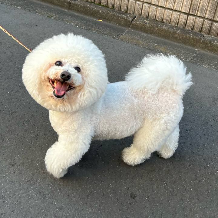 97d47a66 9800 4397 8352 3ceda279db10 1758601198845