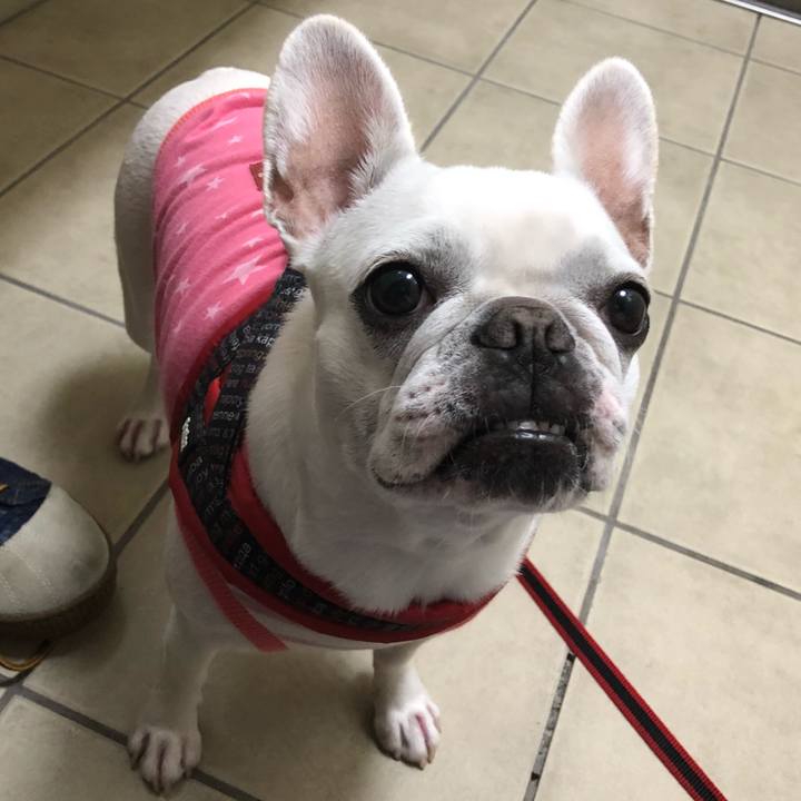 97d49041 61ef 42d1 b5be 63f73cd9b303 1538054592896