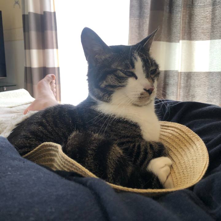 97d495ca 388f 445f 9fda 850d967f5df3 1620096206161