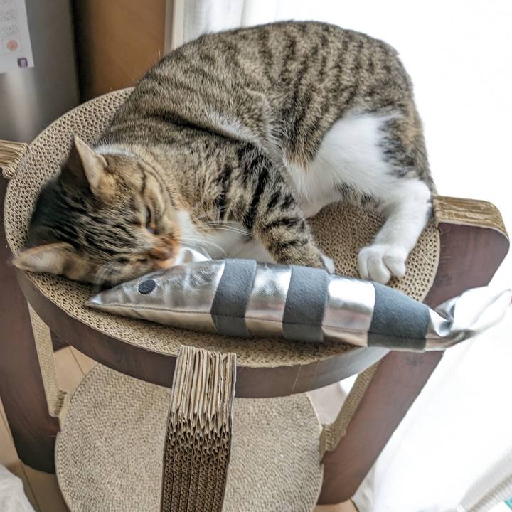 97d4b232 2598 4ca7 a971 67b66997cd59 1689040825577