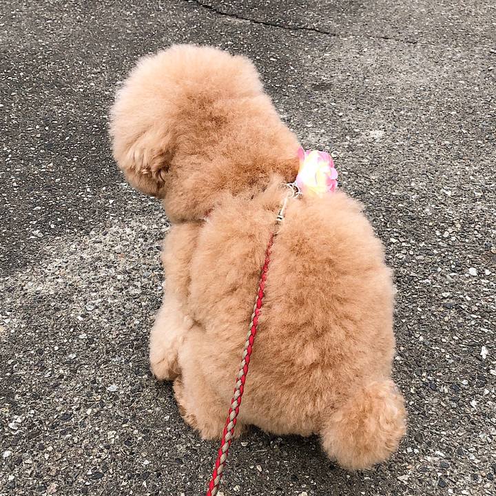 97d4baf2 392e 48af 83db bd1167128546 1568888582775