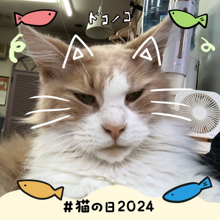 97d4de4f 98c3 4a01 a5a8 a934644be318 1708583403756