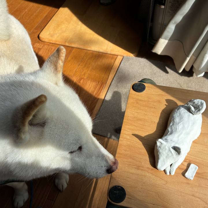 97d4f1dc bca0 4961 964a 276902c75490 1759033799286