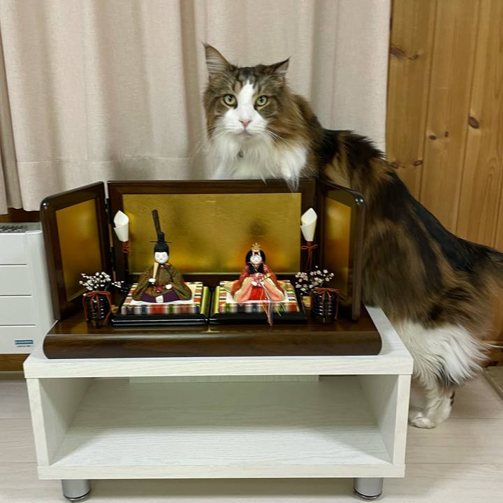 97d50432 0f36 4ccf aeeb 0123d7f96d9a 1740516148265