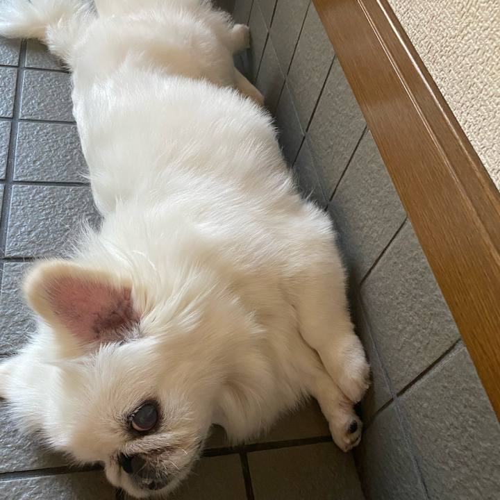 97d51160 5a85 4c04 a6cf 9011f97ace86 1597470349202