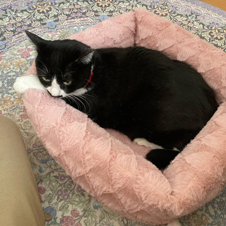 97d55624 c6fd 429a 995d d822bb30c56d 1765759221680