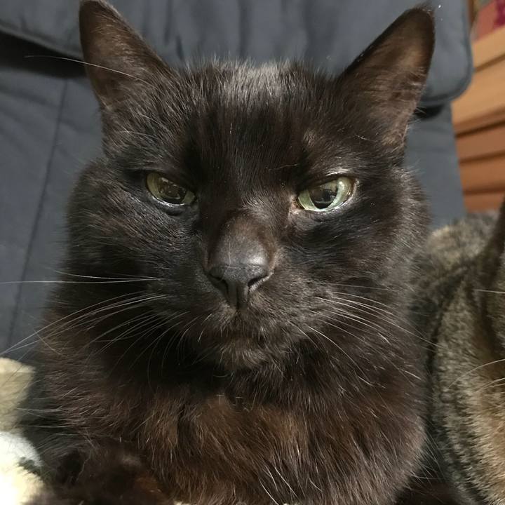 97d55b6a 6ab6 448d b2f1 0eb9223840a0 1514306748508