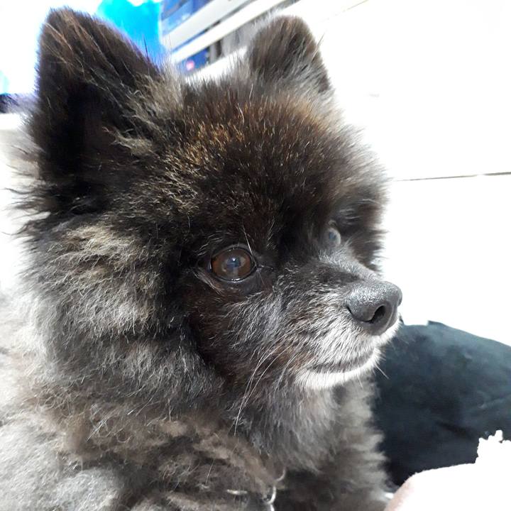 97d55dcf d783 412c 9233 86f500ebc4bf 1542314032786