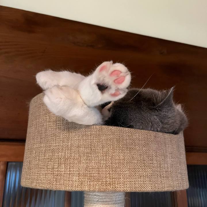 97d56d72 6553 4eac b468 3262aeac3c31 1637645218407