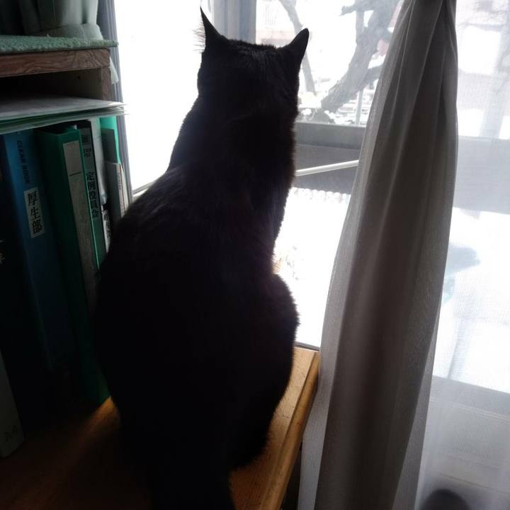 97d57122 2065 4da9 8477 4446a1e14268 1611190970056