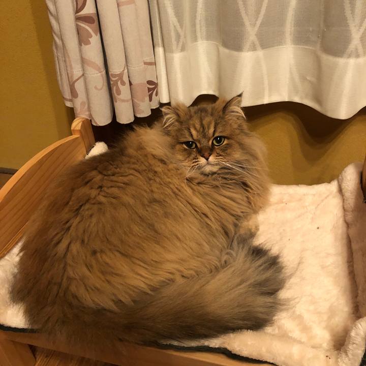 97d5b4b5 3144 418c 882b 2628f4d57869 1578703538611