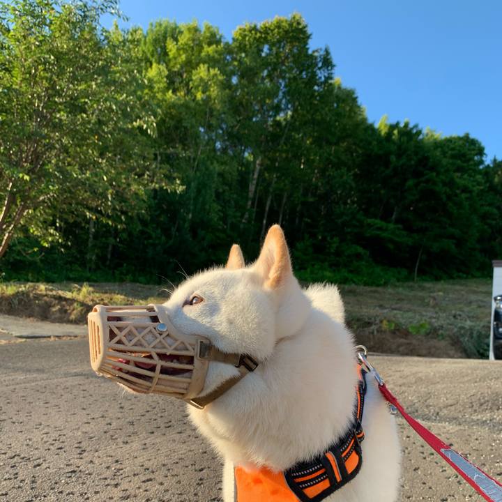 97d5db3e 341f 4cfe b448 c6ed0e49cee8 1626296441950