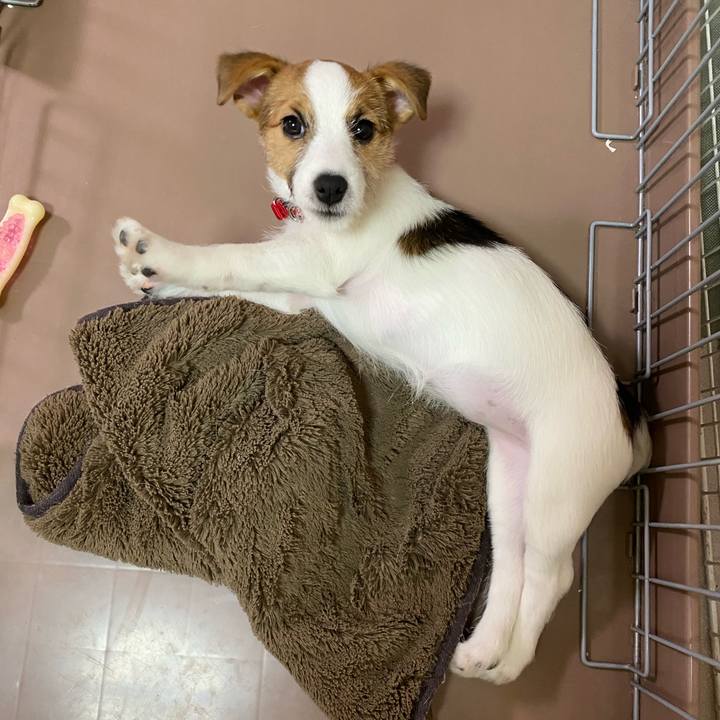 97d5de74 52c3 4ec9 a312 841800944e14 1612571509166