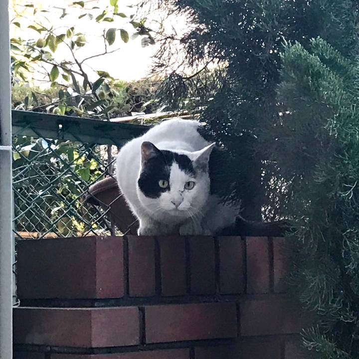 97d60066 f51a 4093 aa4e 22e512fd849a 1514783562307