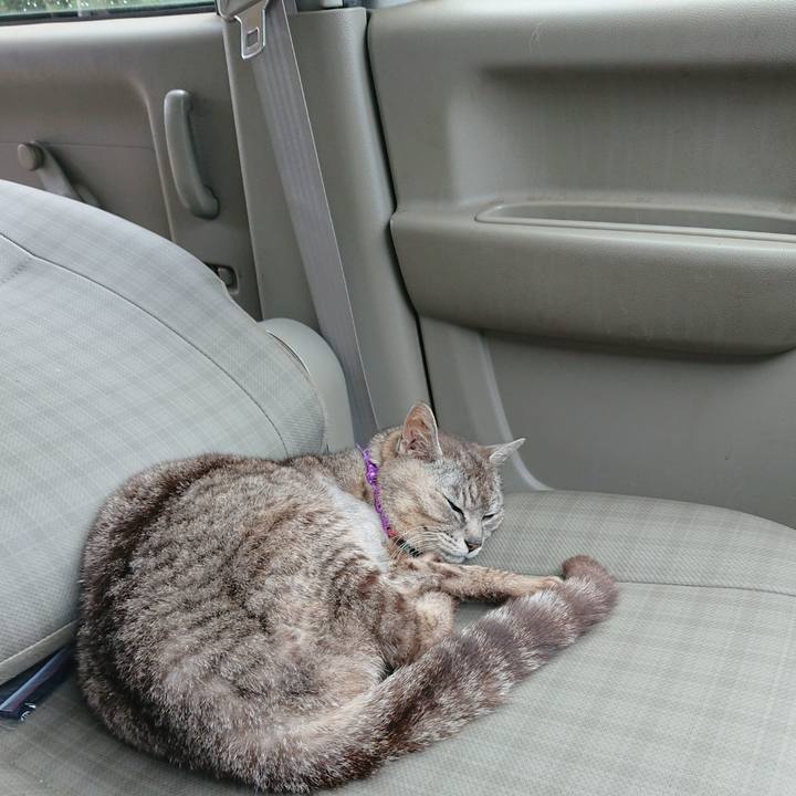 97d61ce2 55f5 43a5 909c 4fc4f35ef7dc 1593312011252