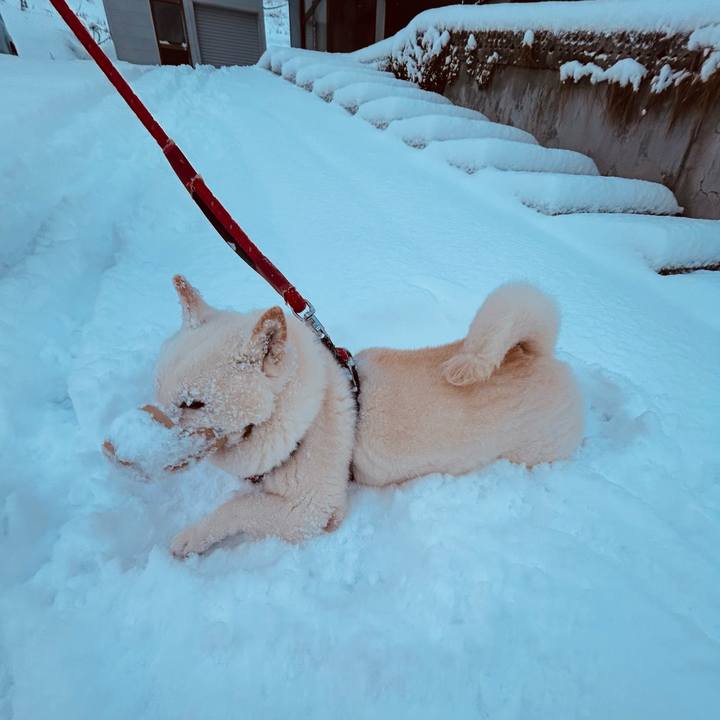 97d64ec8 af9e 4de7 b4a1 ccb67f814e4a 1765232523345