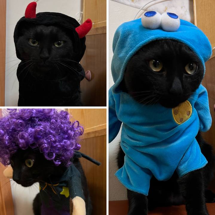 97d67c16 aea5 4cad 8fe6 bacf5b4d786c 1667262526457