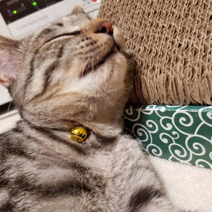 97d68188 5b2a 4de1 b57b 17424a58a2ba 1670716377334