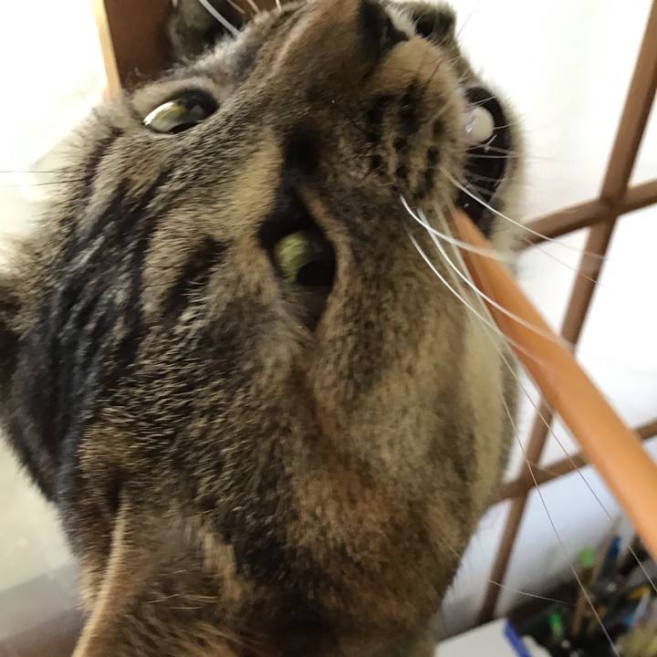 97d6b88e afe2 4931 9c68 d7e009397fb8 1608615780747