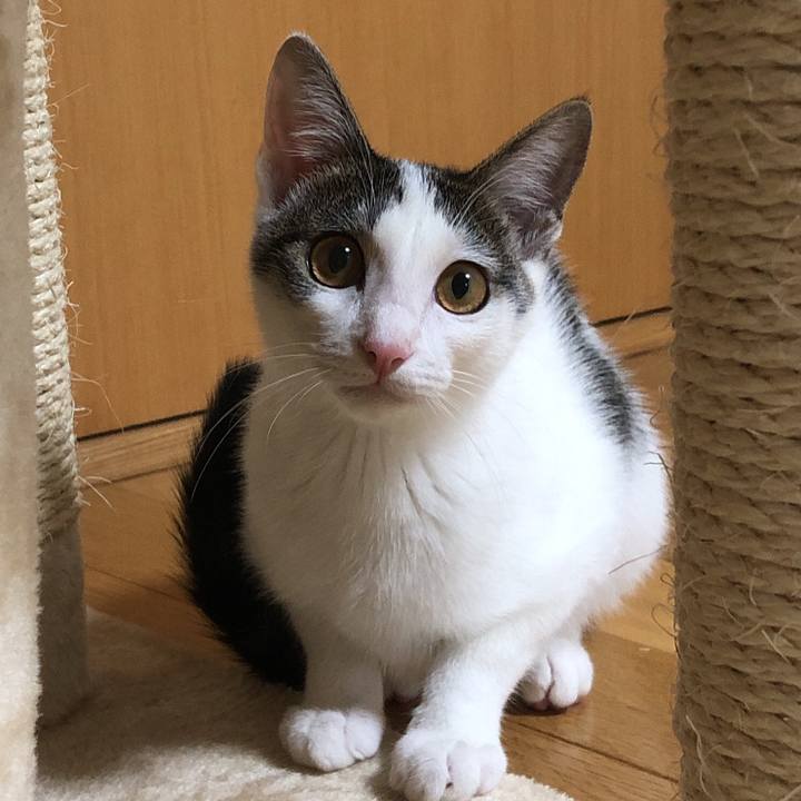 97d6fb45 1df9 4932 9d74 6f934407fd30 1571915762470